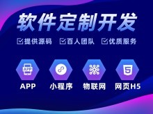 雷州網(wǎng)站建設(shè)與湛江軟件開(kāi)發(fā) 數(shù)字化時(shí)代的企業(yè)引擎